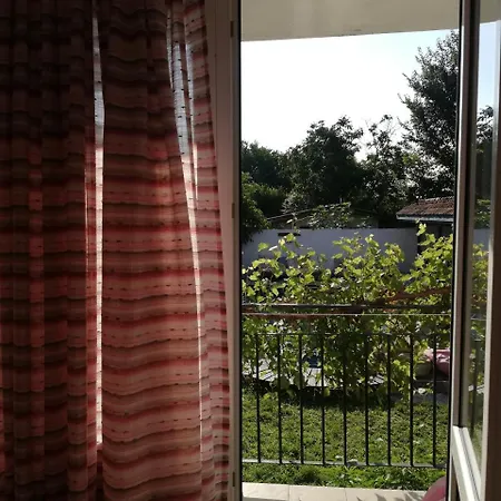 Zen Varvara (Burgas)